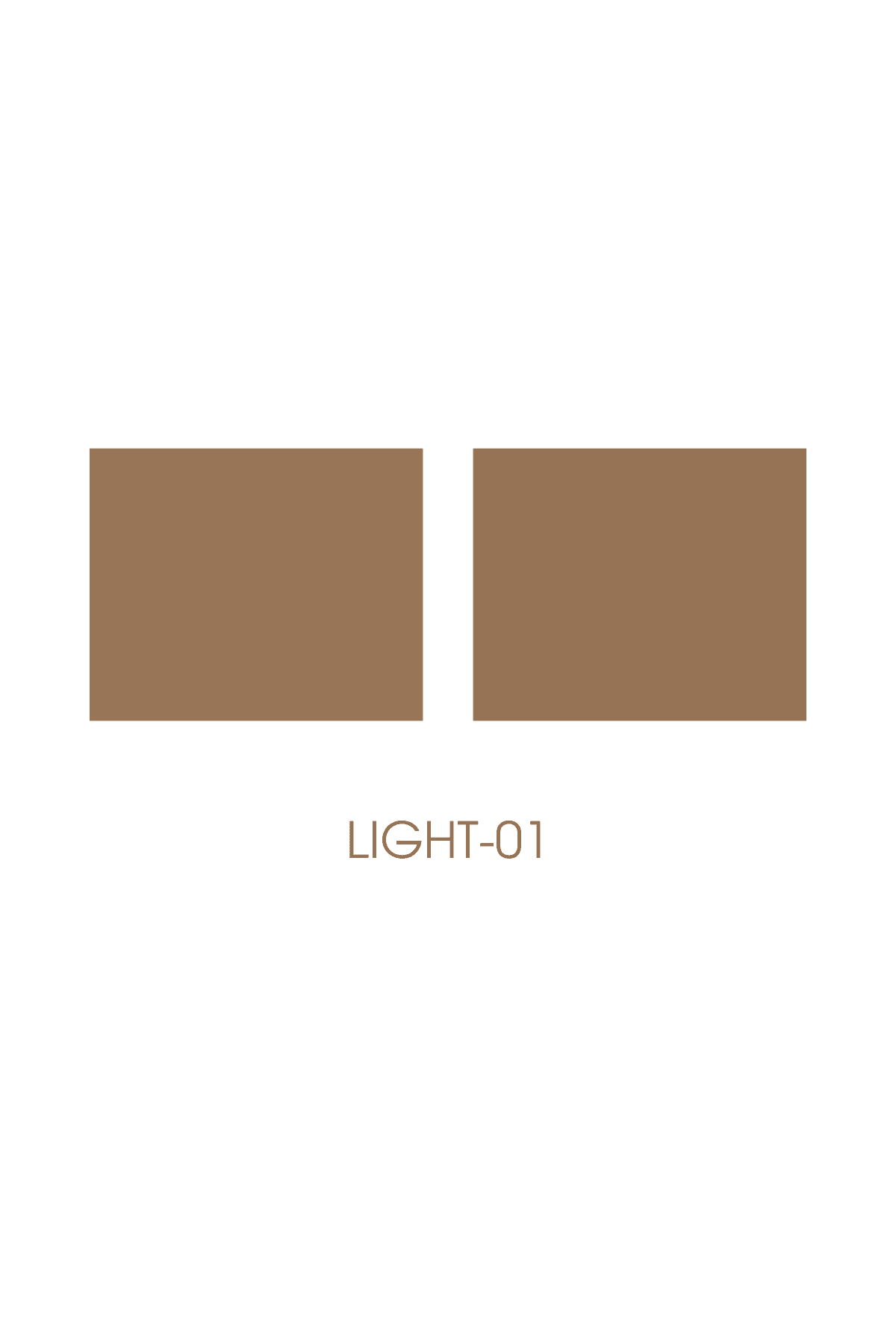 PROFASHION EYEBROW DUO