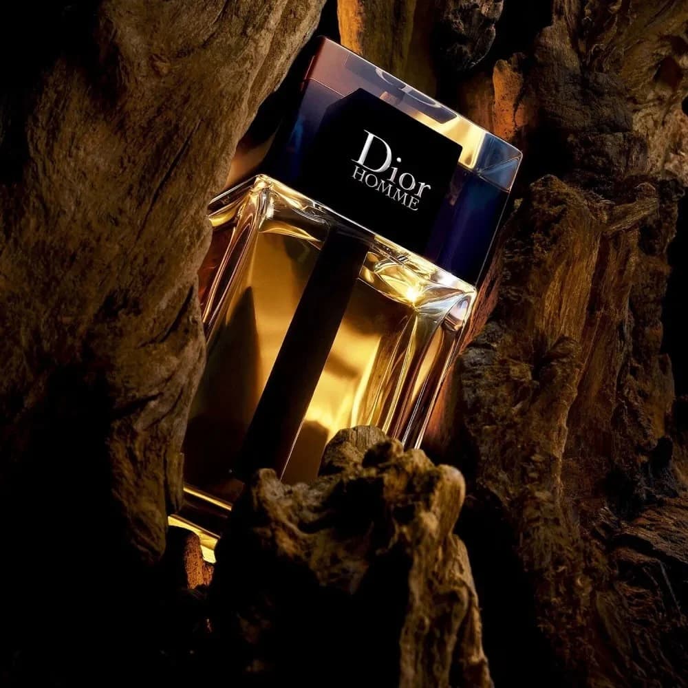 Dior Homme Eau de Toilette 100ml