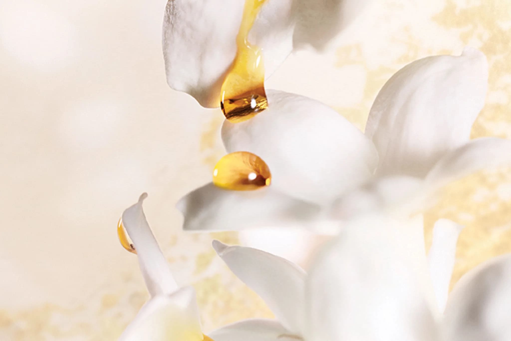 Dior J'Adore Eau de Parfum 100ml
