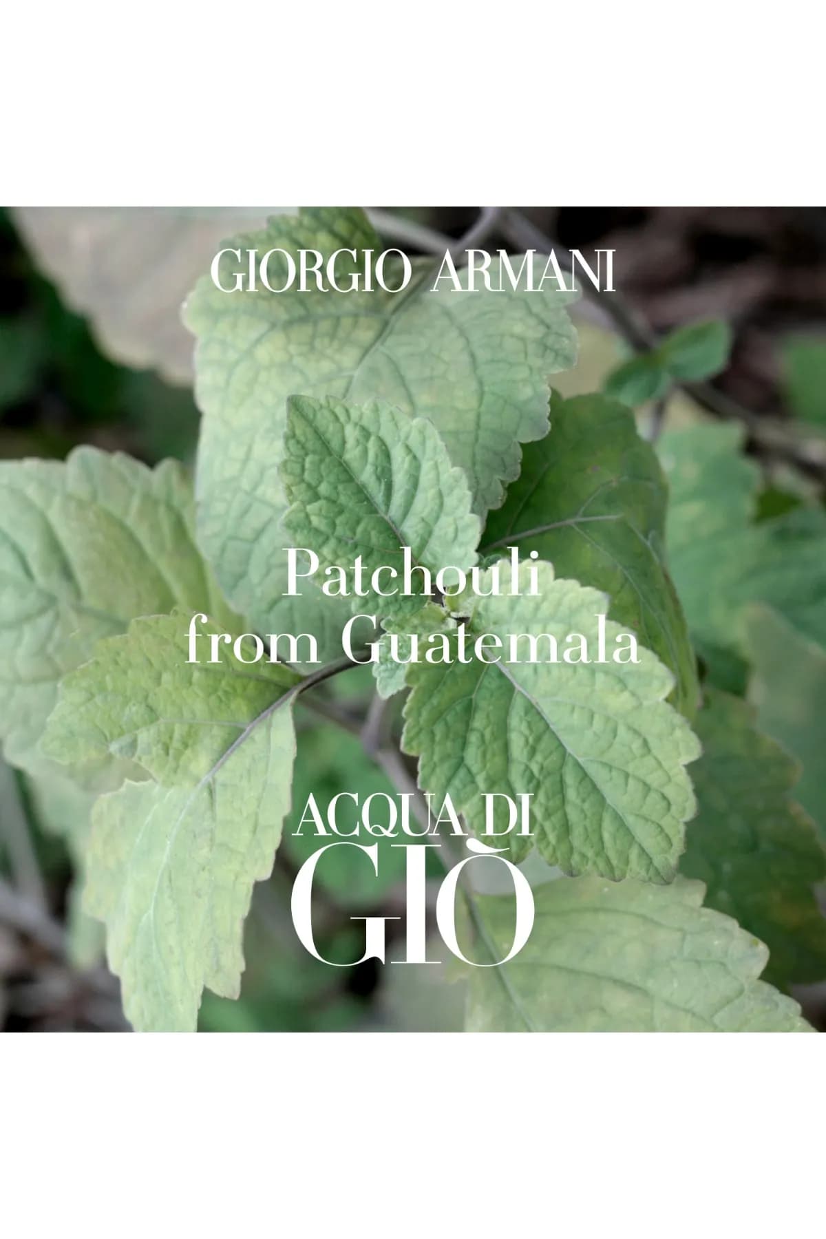Armani Acqua Di Gio Profondo EDP 125ml