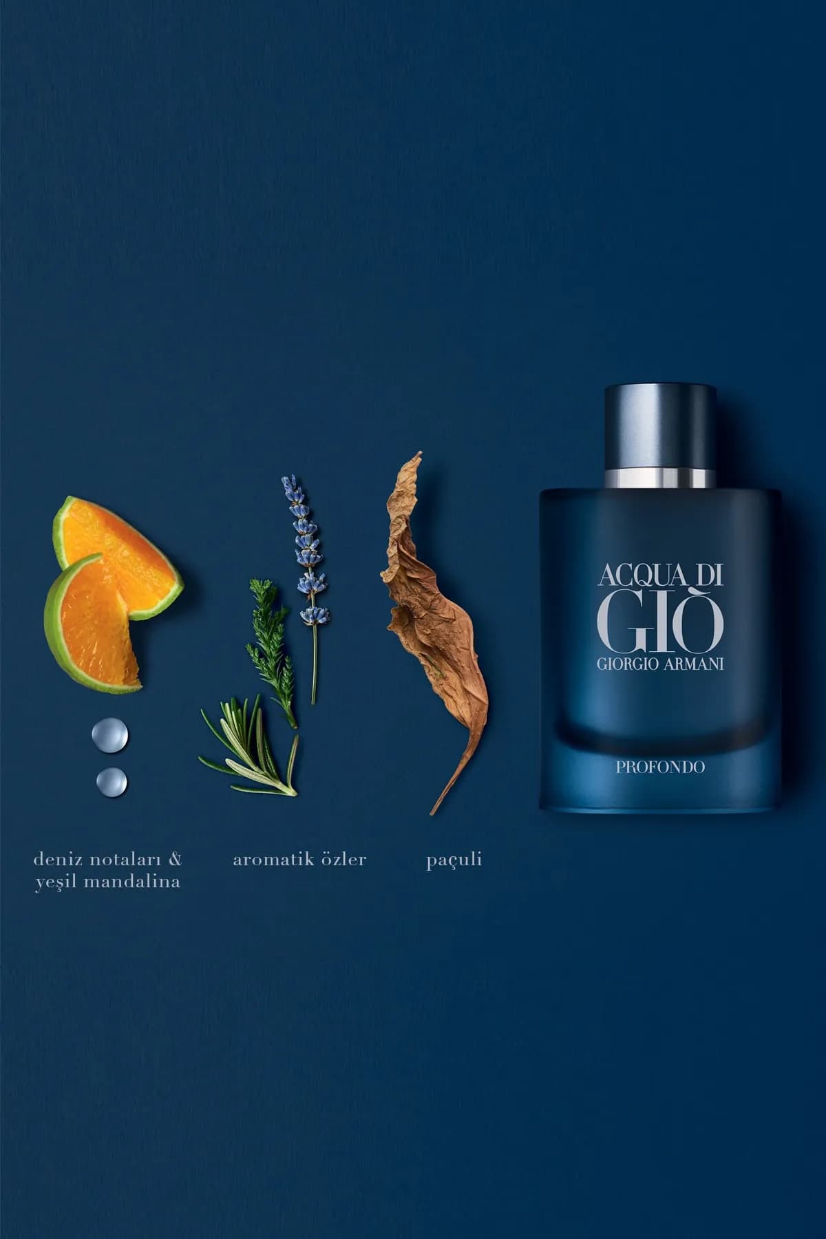 Armani Acqua Di Gio Profondo EDP 125ml