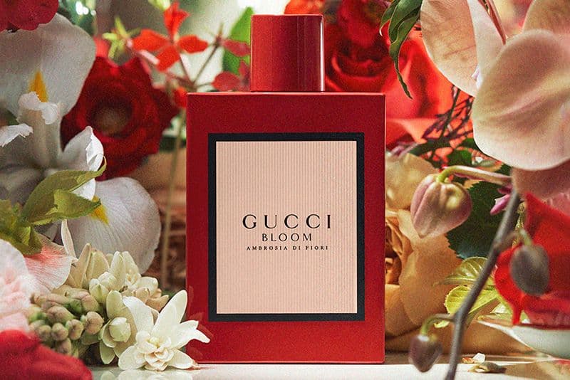 Gucci Bloom Ambrosia di Fiori EDP Intense100ml
