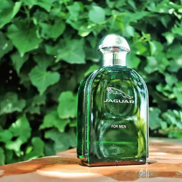Jaguar Green for Men Eau de Toilette 100ml