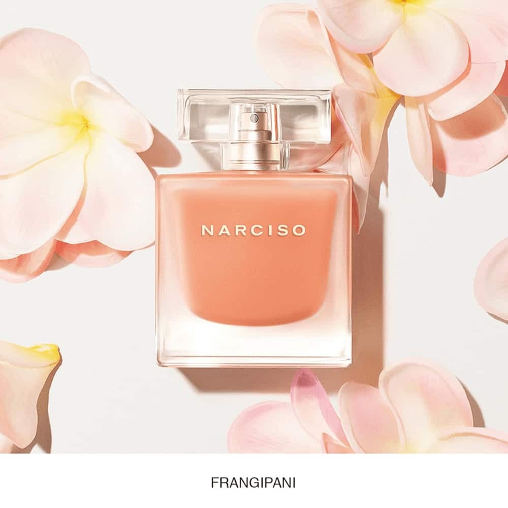Narciso Rodriguez Narciso Neroli Ambree EDT 90ml