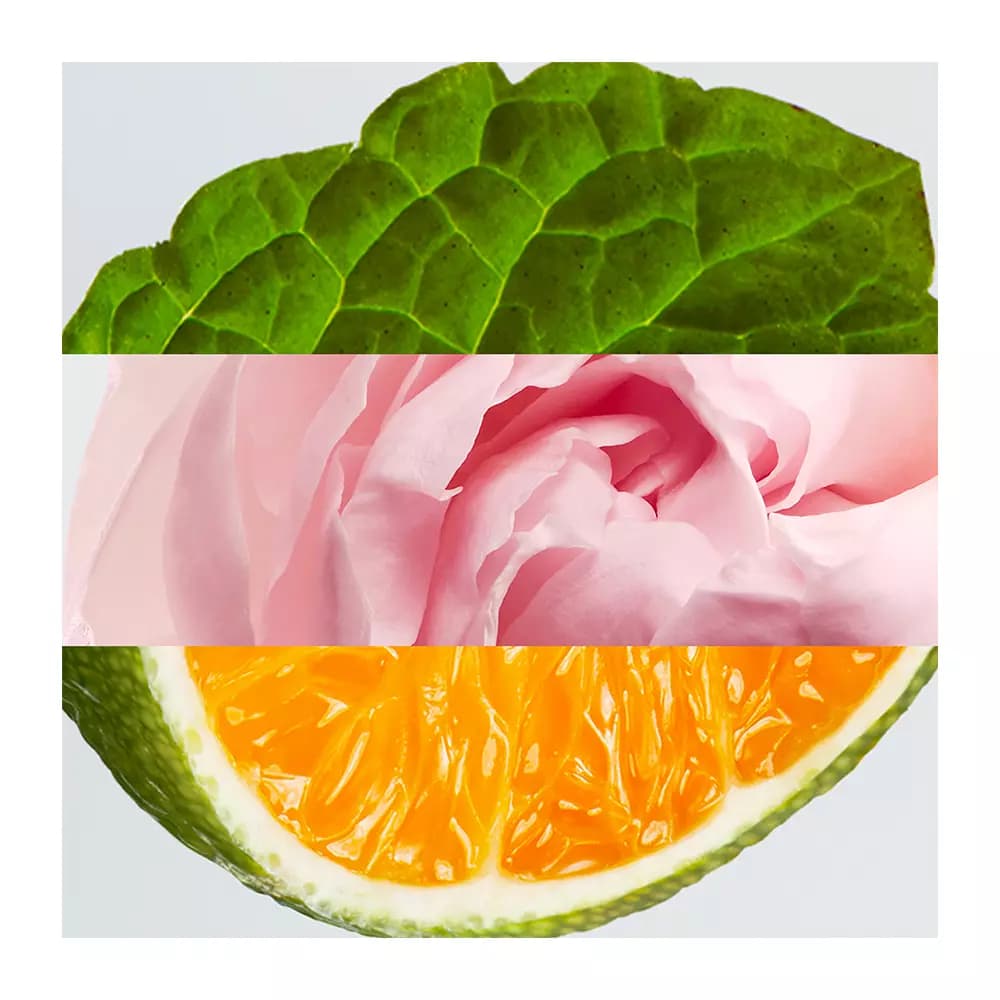 LACOSTE L.12.12 Rose EDP 100ML