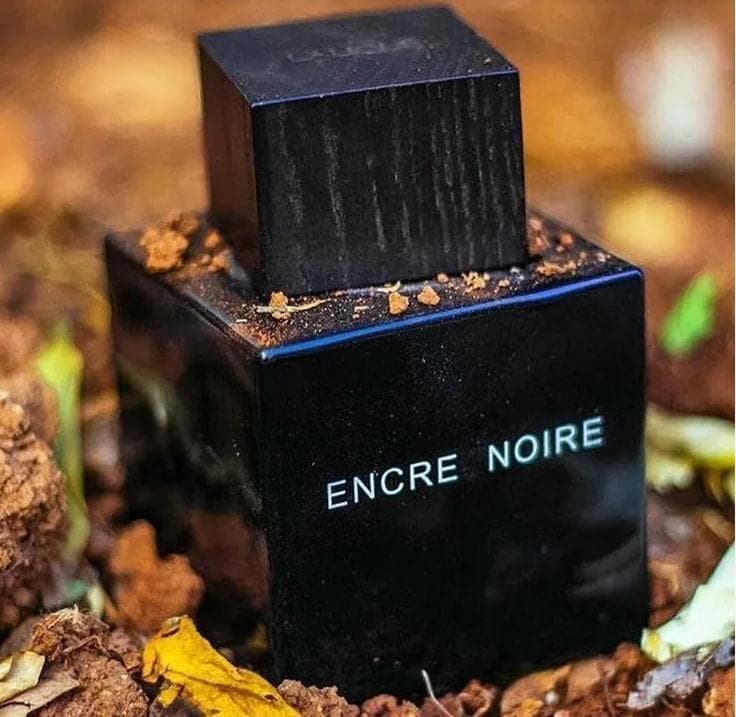 Lalique Encre Noire  Eau de Toilette 100ml