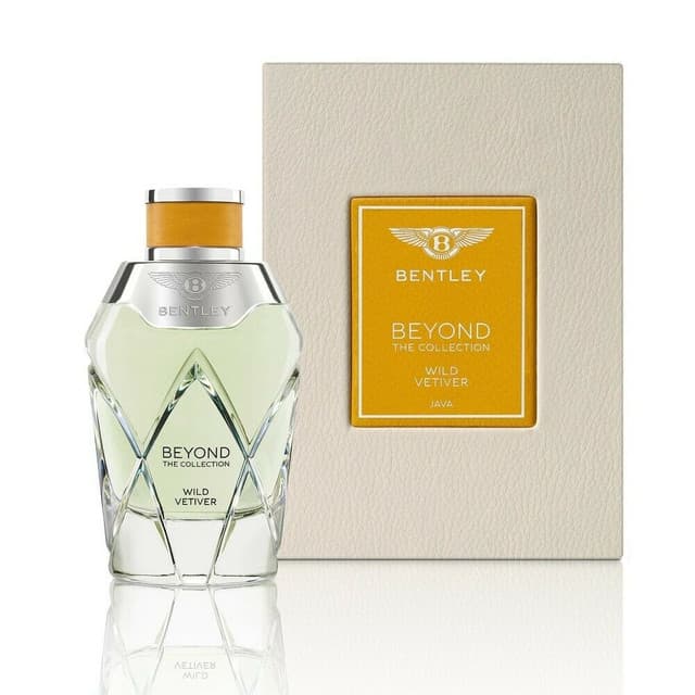 Bentley Wild Vetiver Eau de Parfum 100 ml