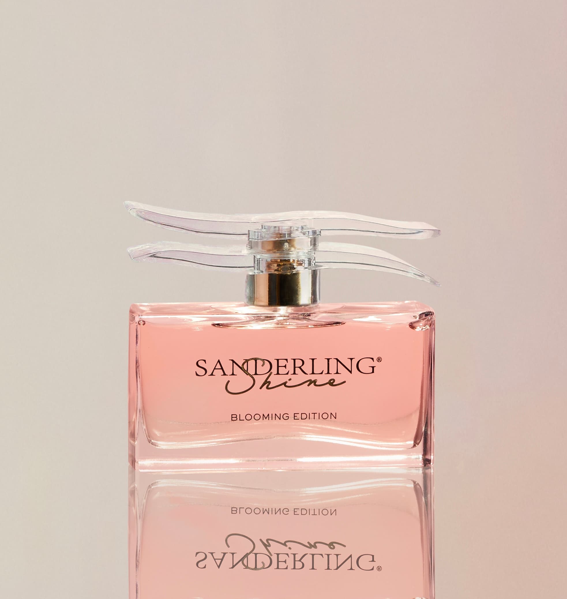 SPPC SANDERLING SHINE 100ML