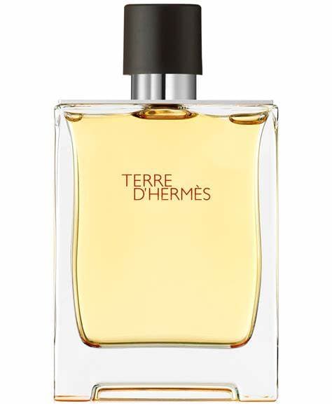 Hermes Terre DHermes Parfum Spray 200 ml