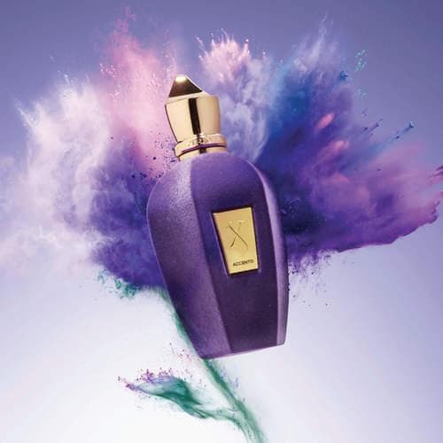 Xerjoff Accento for unisex Eau De Parfum 100ML