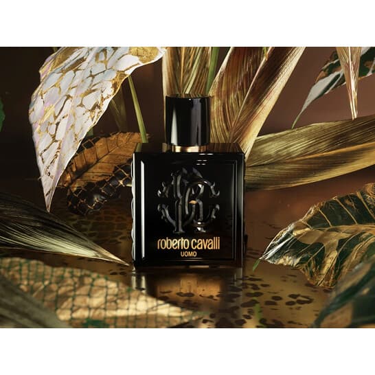 Roberto Cavalli Uomo EDT 100 ml