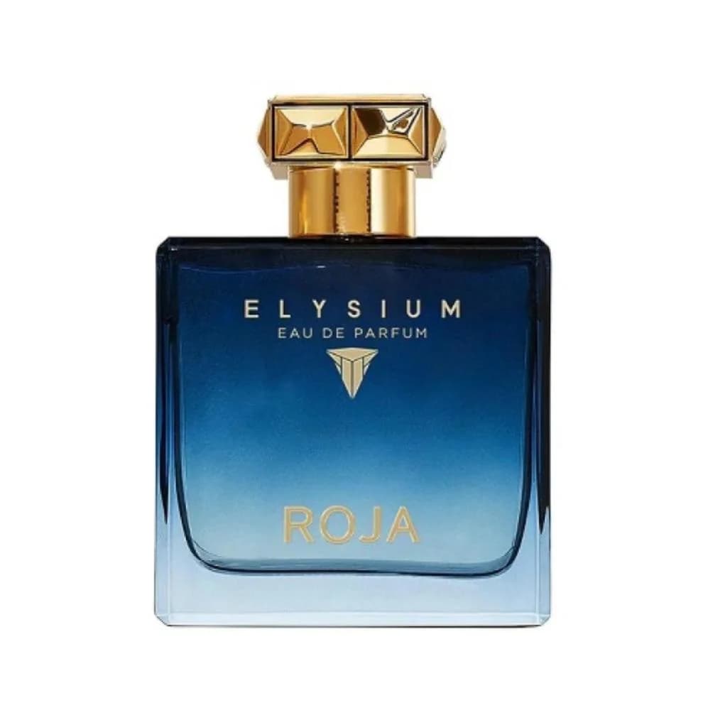 Roja Elysiums Pour Homme EDP 100ml