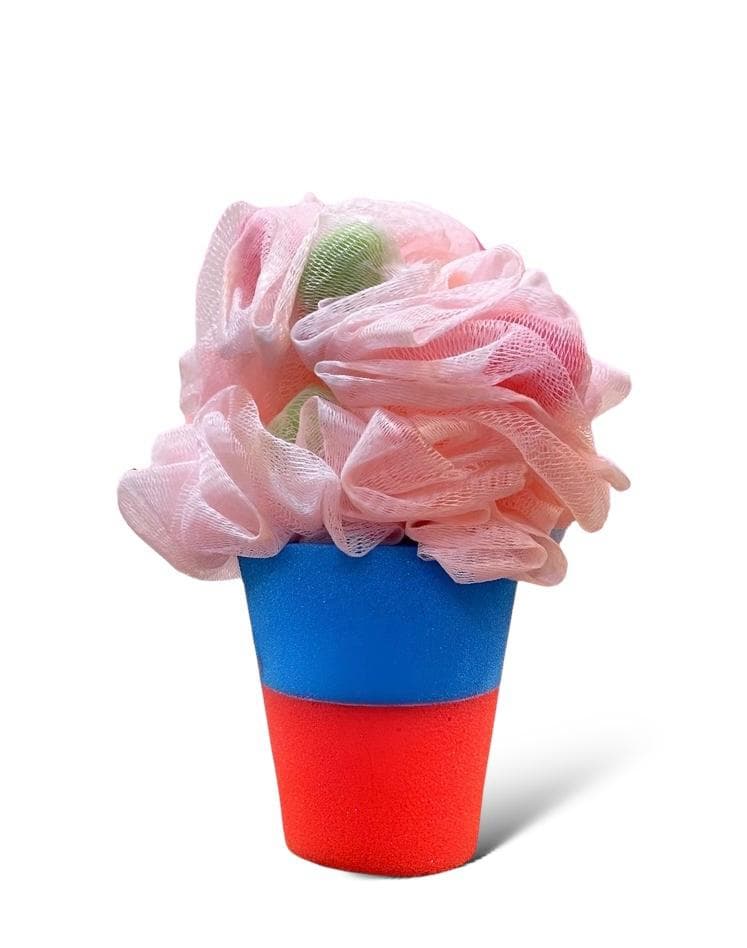 Shower Sponge